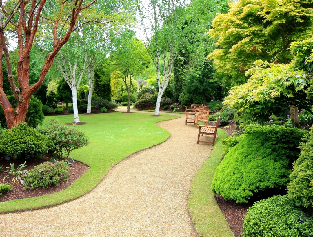 Les Terreaux Danjou Terreau Loire Authion Img6